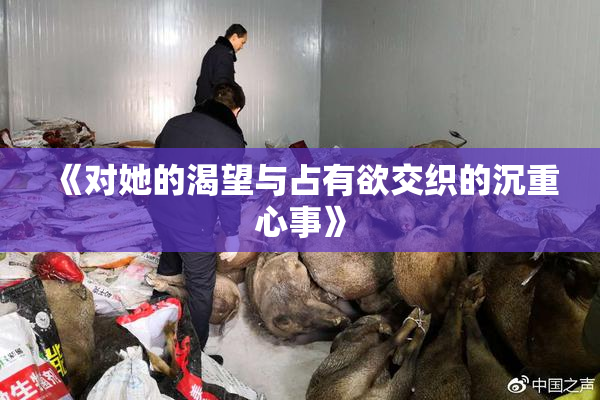 《对她的渴望与占有欲交织的沉重心事》