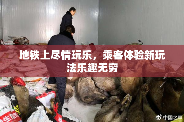 地铁上尽情玩乐，乘客体验新玩法乐趣无穷