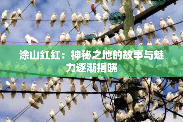 涂山红红：神秘之地的故事与魅力逐渐揭晓