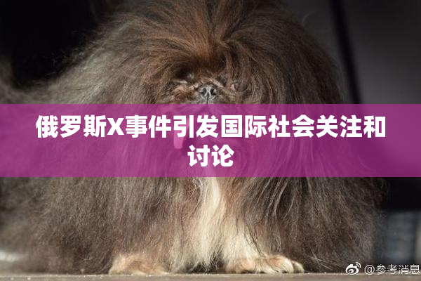 俄罗斯X事件引发国际社会关注和讨论