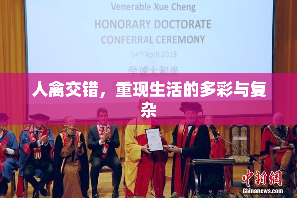 人禽交错，重现生活的多彩与复杂