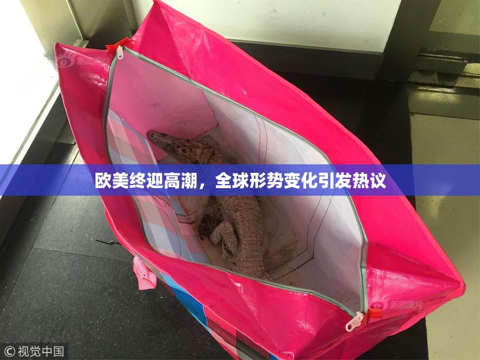 欧美终迎高潮，全球形势变化引发热议
