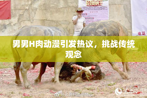 男男H肉动漫引发热议，挑战传统观念