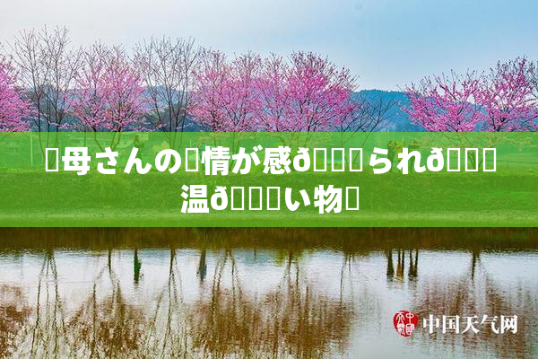 ✿母さんの愛情が感🍓られ🌃温💋い物語