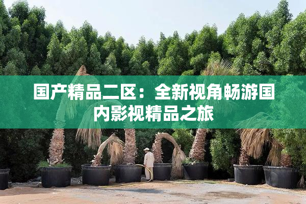 国产精品二区：全新视角畅游国内影视精品之旅