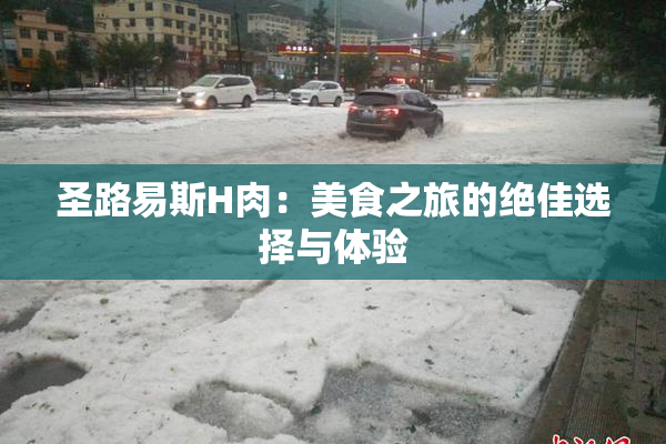 圣路易斯H肉：美食之旅的绝佳选择与体验
