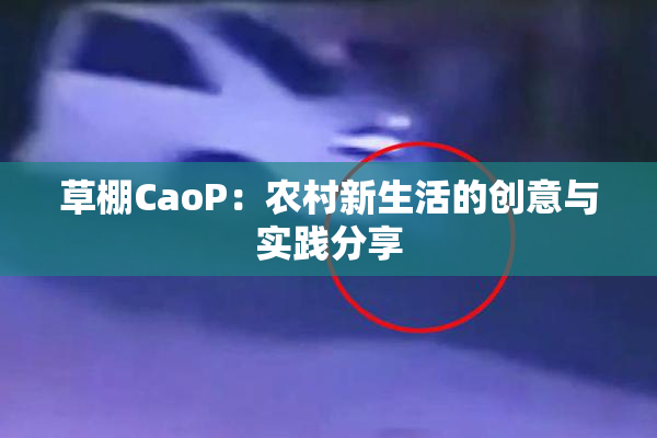 草棚CaoP：农村新生活的创意与实践分享