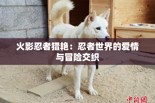 火影忍者猎艳：忍者世界的爱情与冒险交织