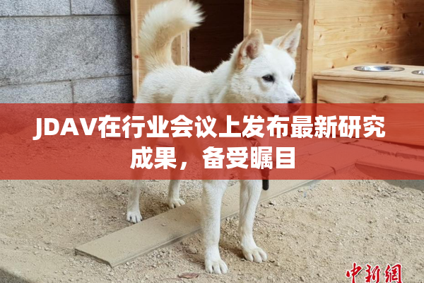 JDAV在行业会议上发布最新研究成果，备受瞩目