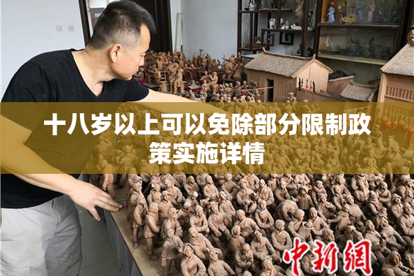 十八岁以上可以免除部分限制政策实施详情