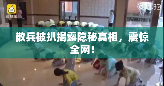 散兵被扒揭露隐秘真相，震惊全网！