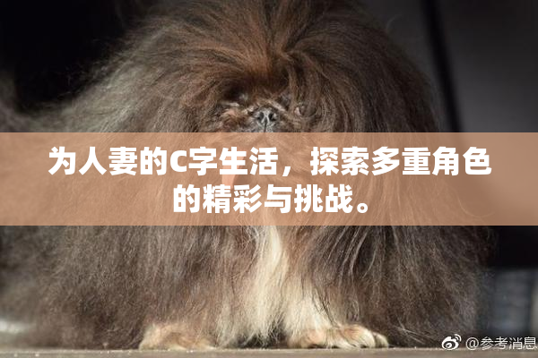 为人妻的C字生活，探索多重角色的精彩与挑战。