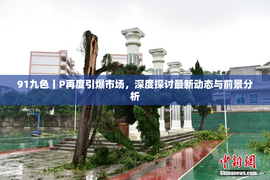 91九色丨P再度引爆市场，深度探讨最新动态与前景分析