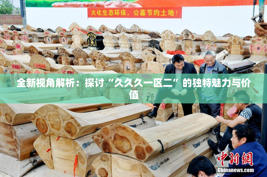 全新视角解析：探讨“久久久一区二”的独特魅力与价值