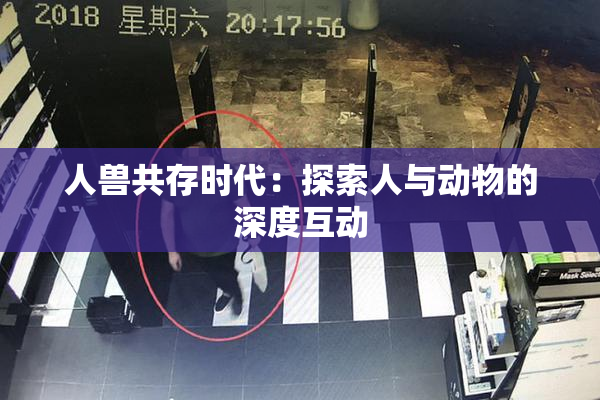人兽共存时代：探索人与动物的深度互动