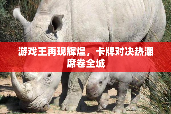 游戏王再现辉煌，卡牌对决热潮席卷全城