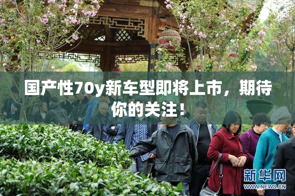 国产性70y新车型即将上市，期待你的关注！