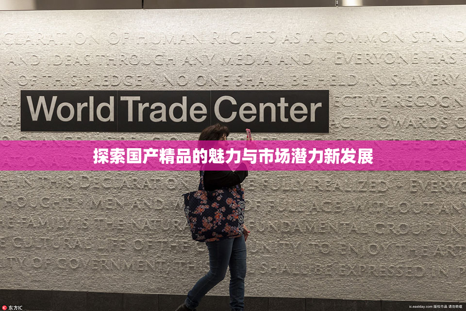 探索国产精品的魅力与市场潜力新发展