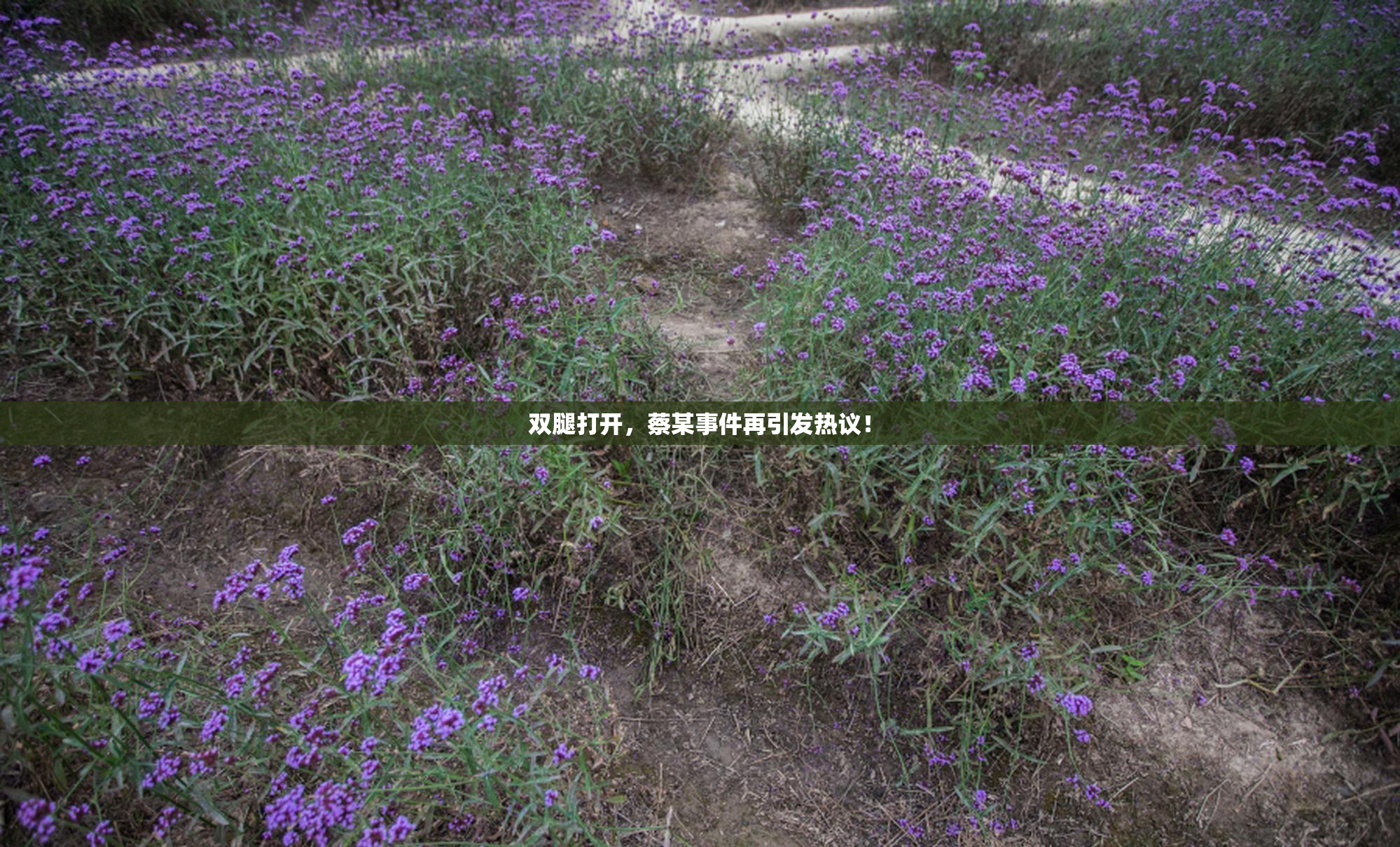 双腿打开，蔡某事件再引发热议！