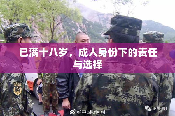 已满十八岁，成人身份下的责任与选择