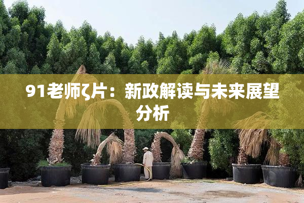 91老师ζ片：新政解读与未来展望分析
