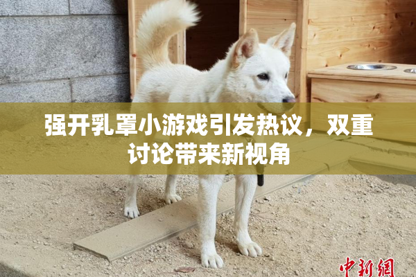 强开乳罩小游戏引发热议，双重讨论带来新视角