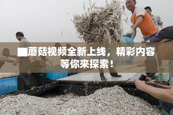 ▇蘑菇视频全新上线，精彩内容等你来探索！