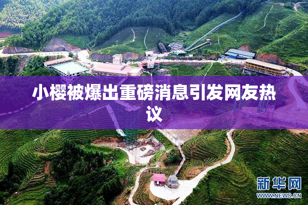 小樱被爆出重磅消息引发网友热议