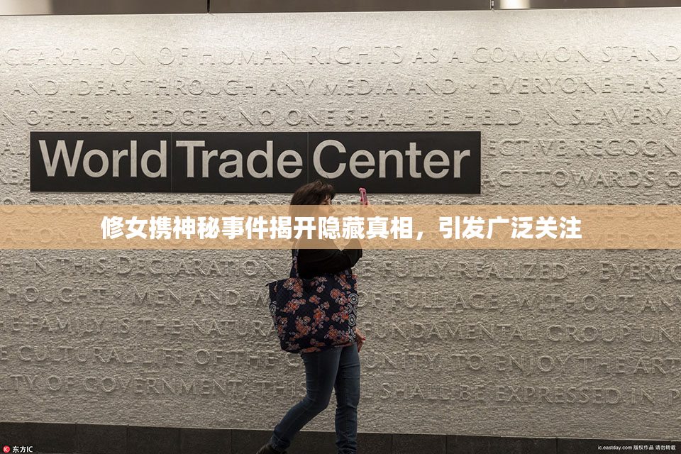修女携神秘事件揭开隐藏真相，引发广泛关注