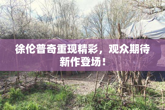 徐伦普奇重现精彩，观众期待新作登场！