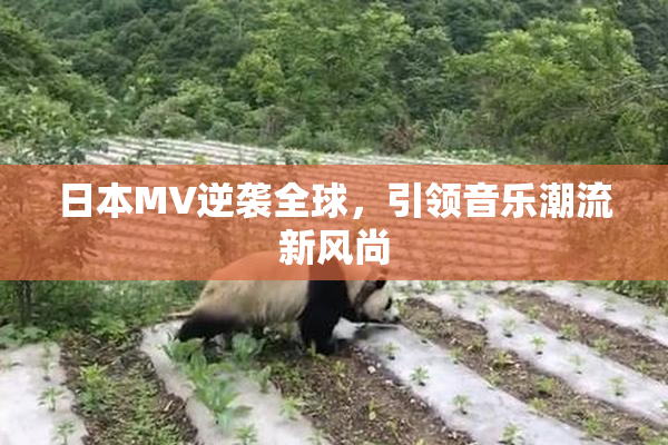 日本MV逆袭全球，引领音乐潮流新风尚