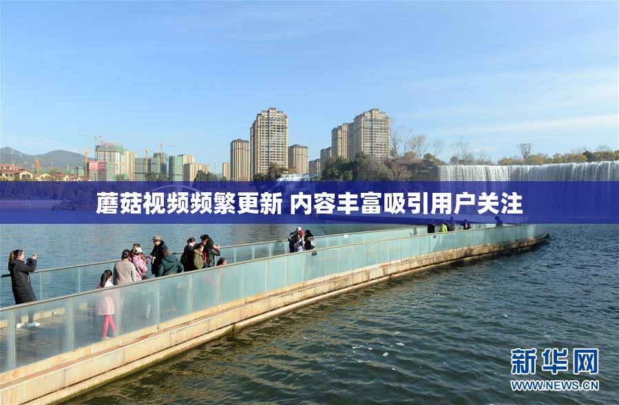 蘑菇视频频繁更新 内容丰富吸引用户关注