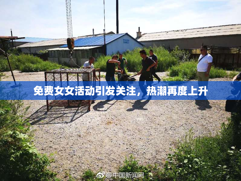 免费女女活动引发关注，热潮再度上升
