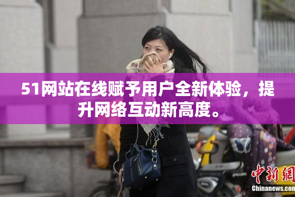 51网站在线赋予用户全新体验，提升网络互动新高度。