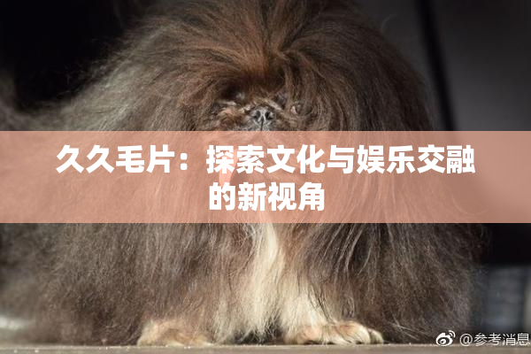 久久毛片：探索文化与娱乐交融的新视角