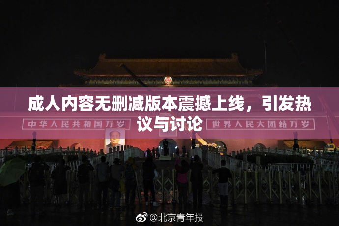成人内容无删减版本震撼上线，引发热议与讨论