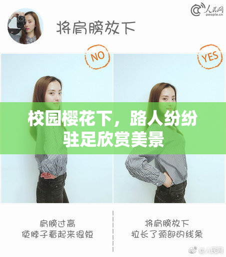 校园樱花下，路人纷纷驻足欣赏美景