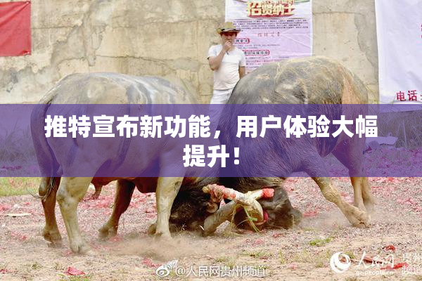 推特宣布新功能，用户体验大幅提升！