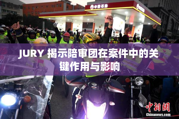 JURY 揭示陪审团在案件中的关键作用与影响