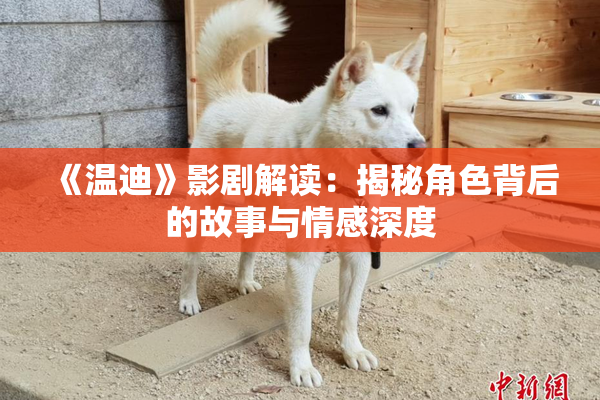 《温迪》影剧解读：揭秘角色背后的故事与情感深度