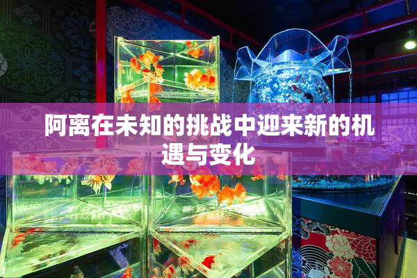 阿离在未知的挑战中迎来新的机遇与变化