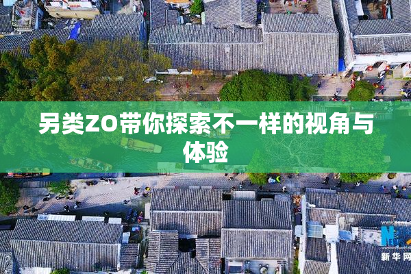 另类ZO带你探索不一样的视角与体验