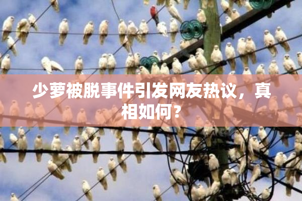 少萝被脱事件引发网友热议，真相如何？