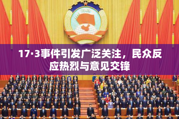 17·3事件引发广泛关注，民众反应热烈与意见交锋