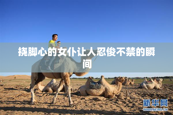 挠脚心的女仆让人忍俊不禁的瞬间
