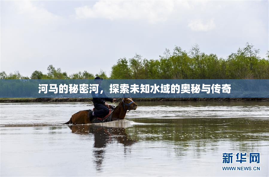 河马的秘密河，探索未知水域的奥秘与传奇