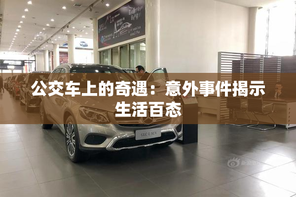 公交车上的奇遇：意外事件揭示生活百态