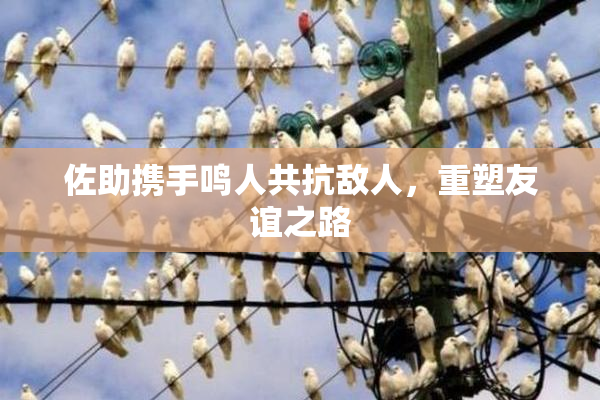 佐助携手鸣人共抗敌人，重塑友谊之路
