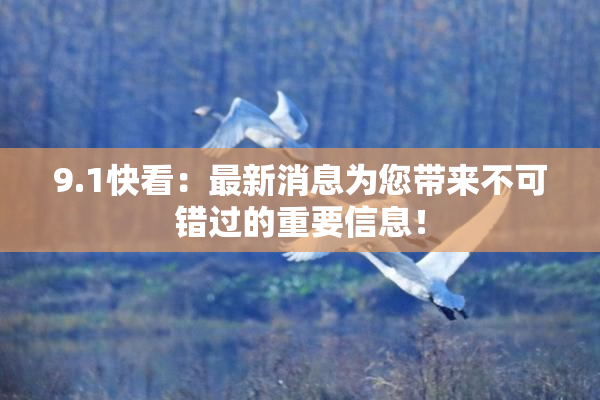 9.1快看：最新消息为您带来不可错过的重要信息！