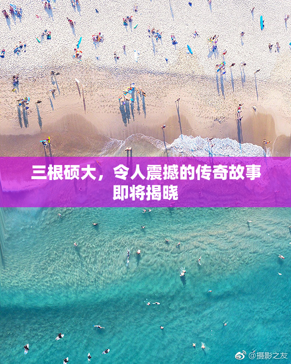 三根硕大，令人震撼的传奇故事即将揭晓